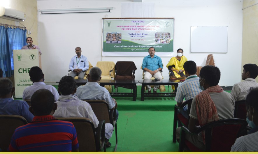 Training on Post-harvest Management of Fruits and Vegetables organized by CHES (ICAR-IIHR), Bhubaneswar