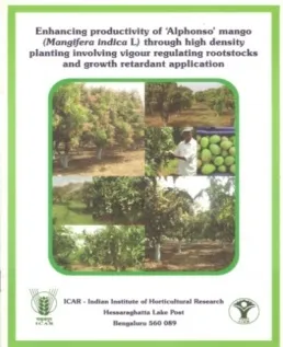 Enhancing productivity of Alphonso mango (Mangifera indica L) through high density planting