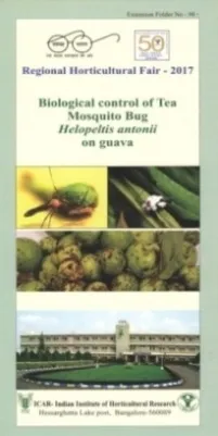 Biological control of Tea Mosquito Bug Helopeltis antonii on guava