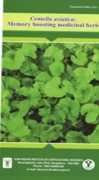 Centella asiatica: Memory boosting medicinal herb