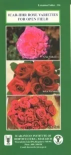 ICAR-IIHR ROSE VARIETIES FOR OPEN FIELD