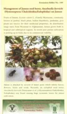 Management of Jamun seed borer, Anselmellakerrichi (Hymenoptera: Chalcidoidea: Eulophidae)