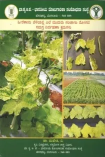 ಹೀರೆಕಾಯಿ ಬೆಳೆಯಲ್ಲಿ ಎಲೆ ಮುದುರು ನಂಜಾಣು ರೋಗದ ಸಮಗ್ರ ನಿರ್ವಹಣಾ ಕ್ರಮಗಳು