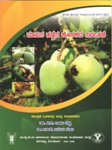 ಮಾವಿನ ಹಣ್ಣಿನ ಕೊರಕದ ನಿರ್ವಹಣೆ