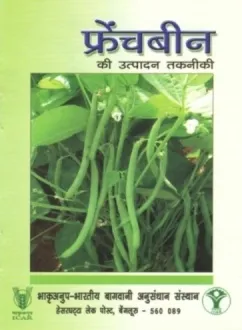 फ्रेंचबीन की उत्पादन तकनीकी