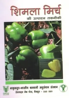 शिमला मिर्च की उत्पादन तकनीकी