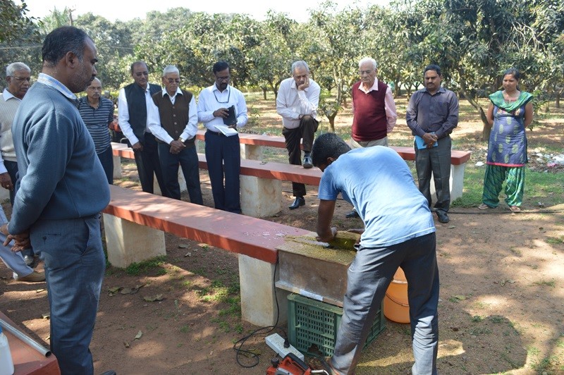 An environmentally-safe technology (Arka Saka Nivaraka) for prevention of spongy tissue in Alphonso mango