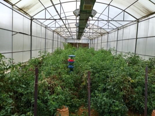 MUSHROOM FORTIFIED INSTANT RASAM MIX