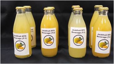 Arka Automatic Dibbler cum Seeder for Vegetable Nursery