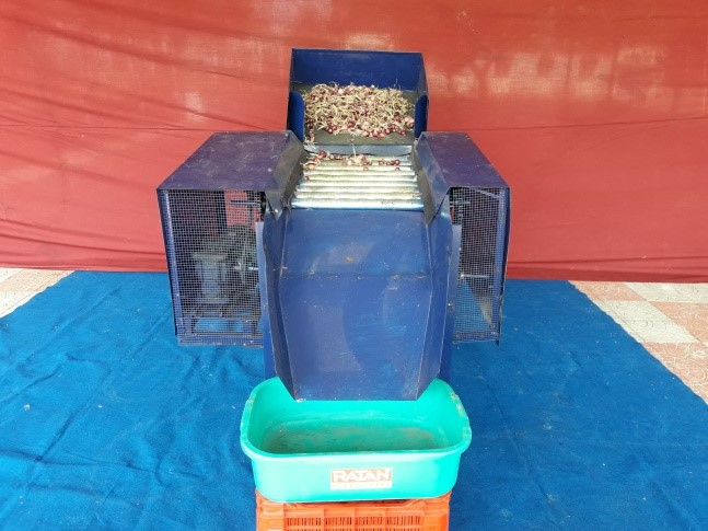 Arka Yojith - white onion variety developed for dehydration