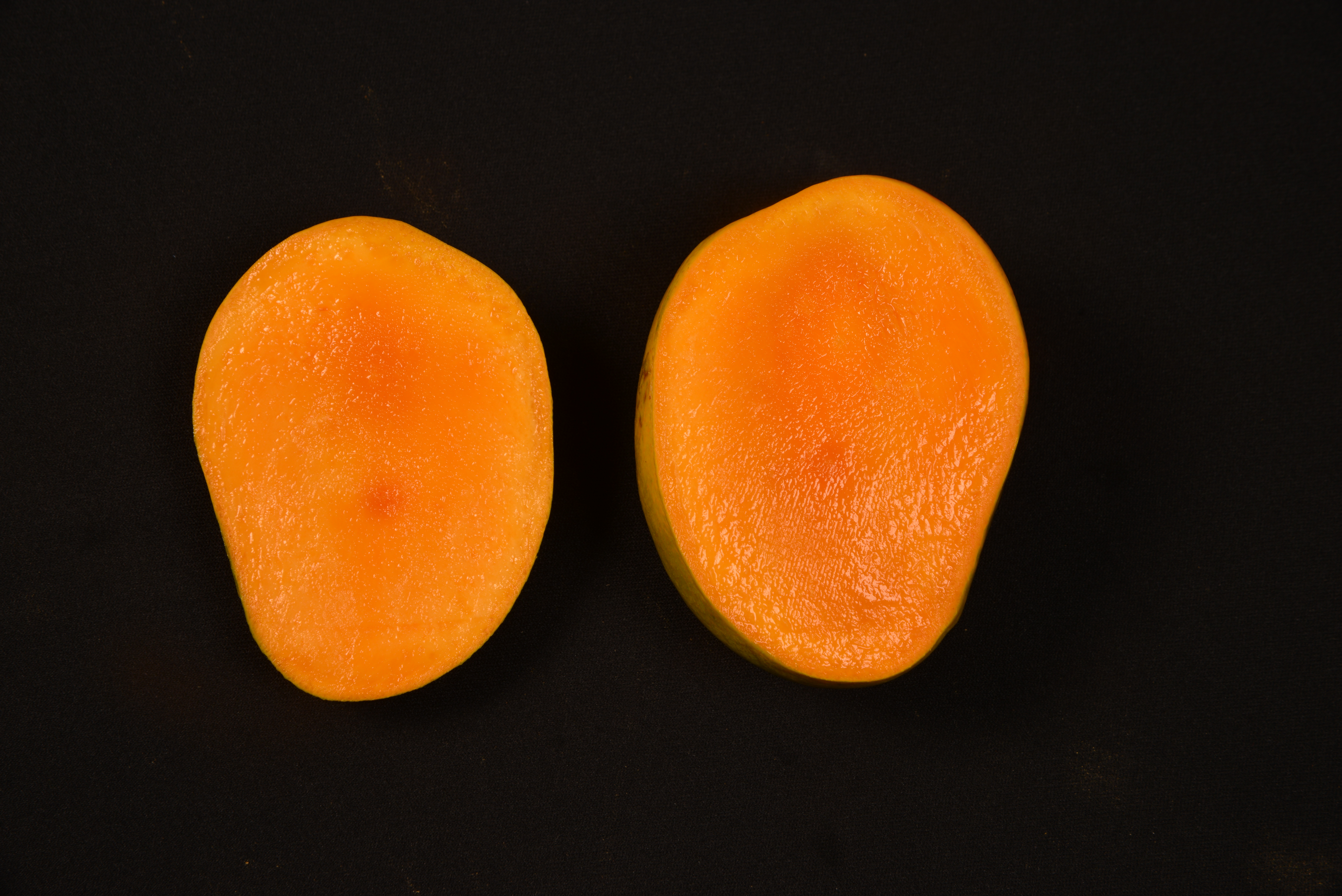 Arka Borer control (Improved version of Sealer cum Healer for the control of Mango stem borer)