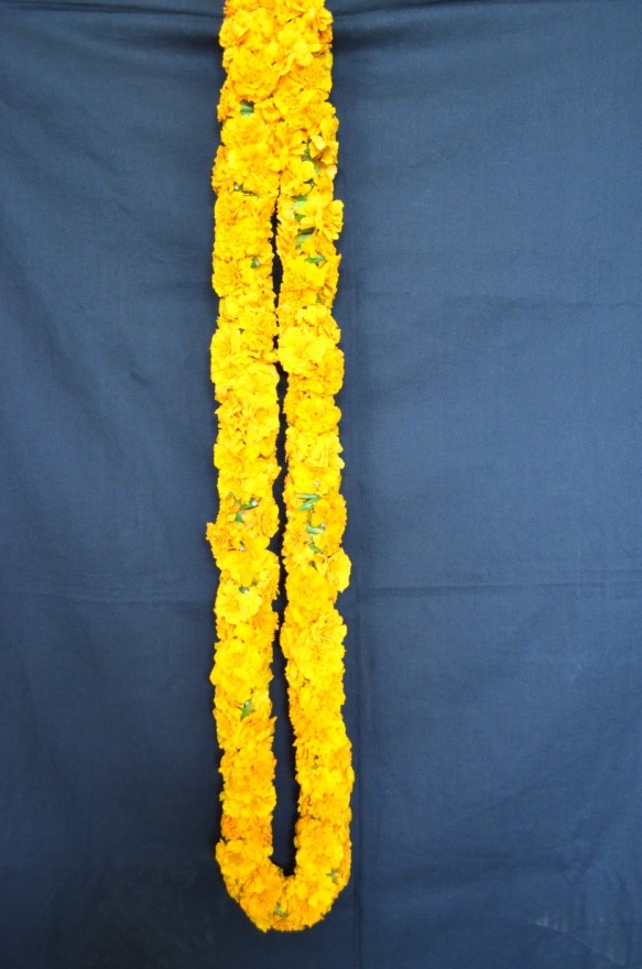 Crossandra variety: Arka Chenna