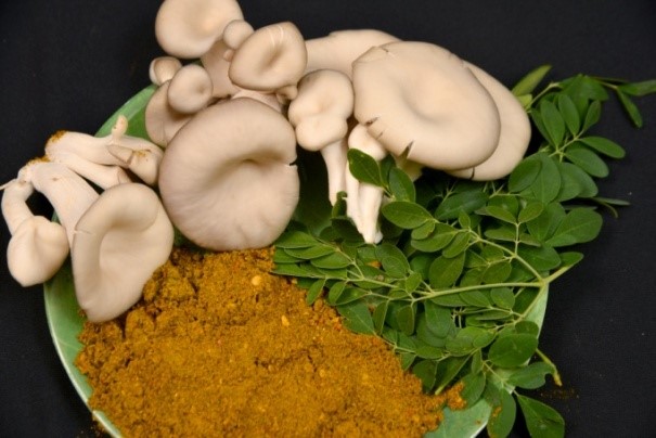 High yielding, powdery mildew tolerant Capsicum hybrid, Arka Athulya: