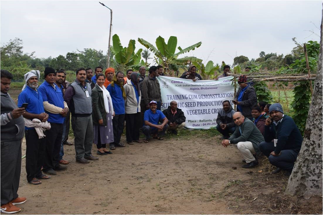 Training-cum-demonstration programme on “scientific seed production of legume vegetable crops” organized by CHES (ICAR-IIHR), Bhubaneswar