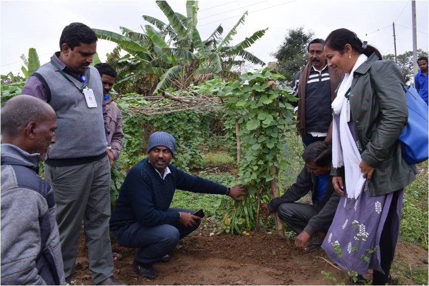 Training-cum-demonstration programme on “scientific seed production of legume vegetable crops” organized by CHES (ICAR-IIHR), Bhubaneswar