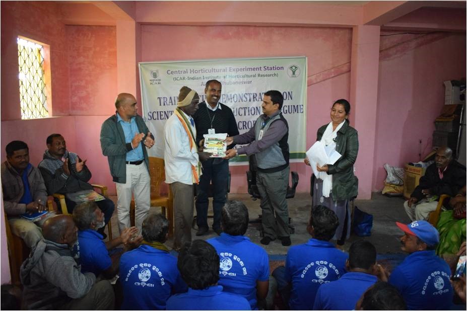 Training-cum-demonstration programme on “scientific seed production of legume vegetable crops” organized by CHES (ICAR-IIHR), Bhubaneswar