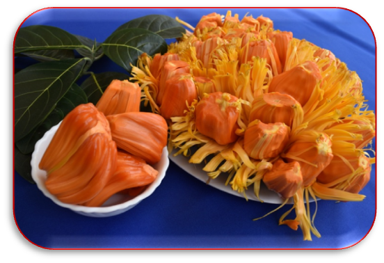 Linking biodiversity to livelihood security- Jackfruit