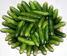 Ivy gourd - 	Arka Neelachal Kunkhi