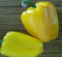 Capsicum - Arka Gaurav