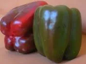 Capsicum - Arka Mohini