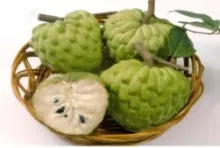 Custard apple - Arka Sahan