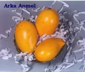 Mango - Arka Anmol