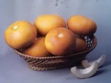 Muskmelon - Arka Jeet