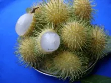 Rambhutan - Arka Coorg Pitab