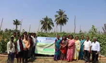 Arka Prasan: An ICAR-IIHR developed variety that empowered a woman farmer in Karnataka