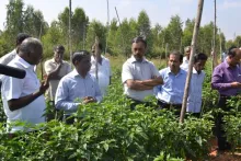 SUCCESS STORY OF USING BIOPESTICIDES FOR NEMATODE MANAGEMENT IN HORTICULTURAL CROPS