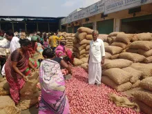 Success story of a New onion variety: Arka Bheem