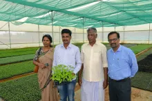 Arka Meghana performance in farmer’s field at Nanjanagud Tq., Chamarajanagara Dist., Karnataka