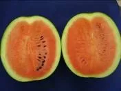 Watermelon - Arka Muthu