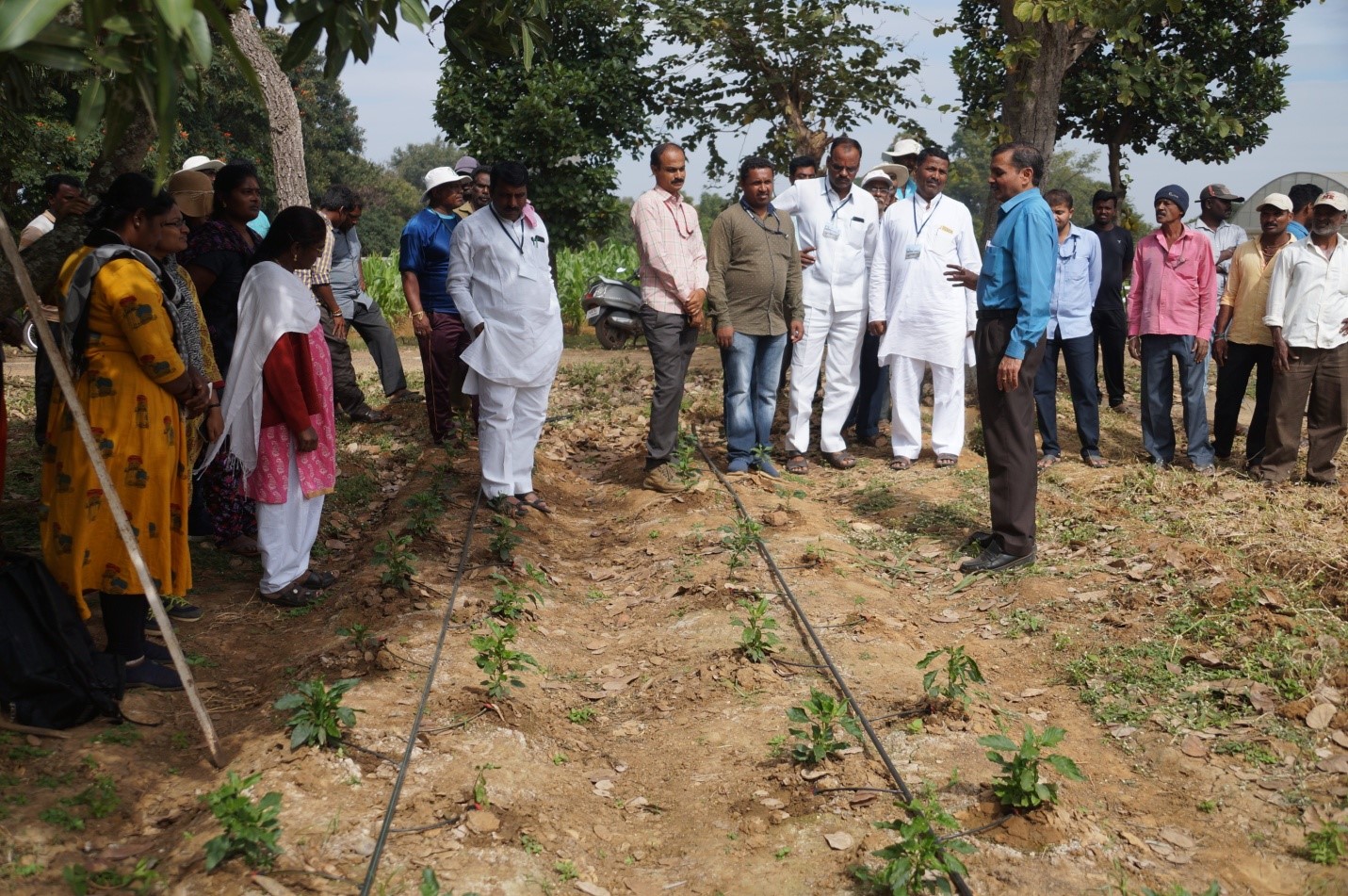 Swachhta Pakhwada activities held on 24.12.2019 at ICAR-IIHR, Bengaluru