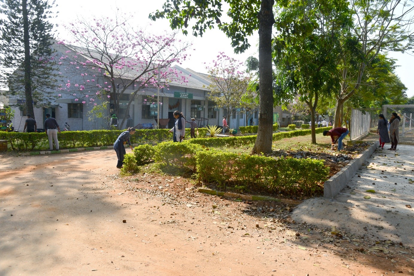 Swachhta Pakhwada activities held on 28.12.2019 at ICAR-IIHR, Bengaluru