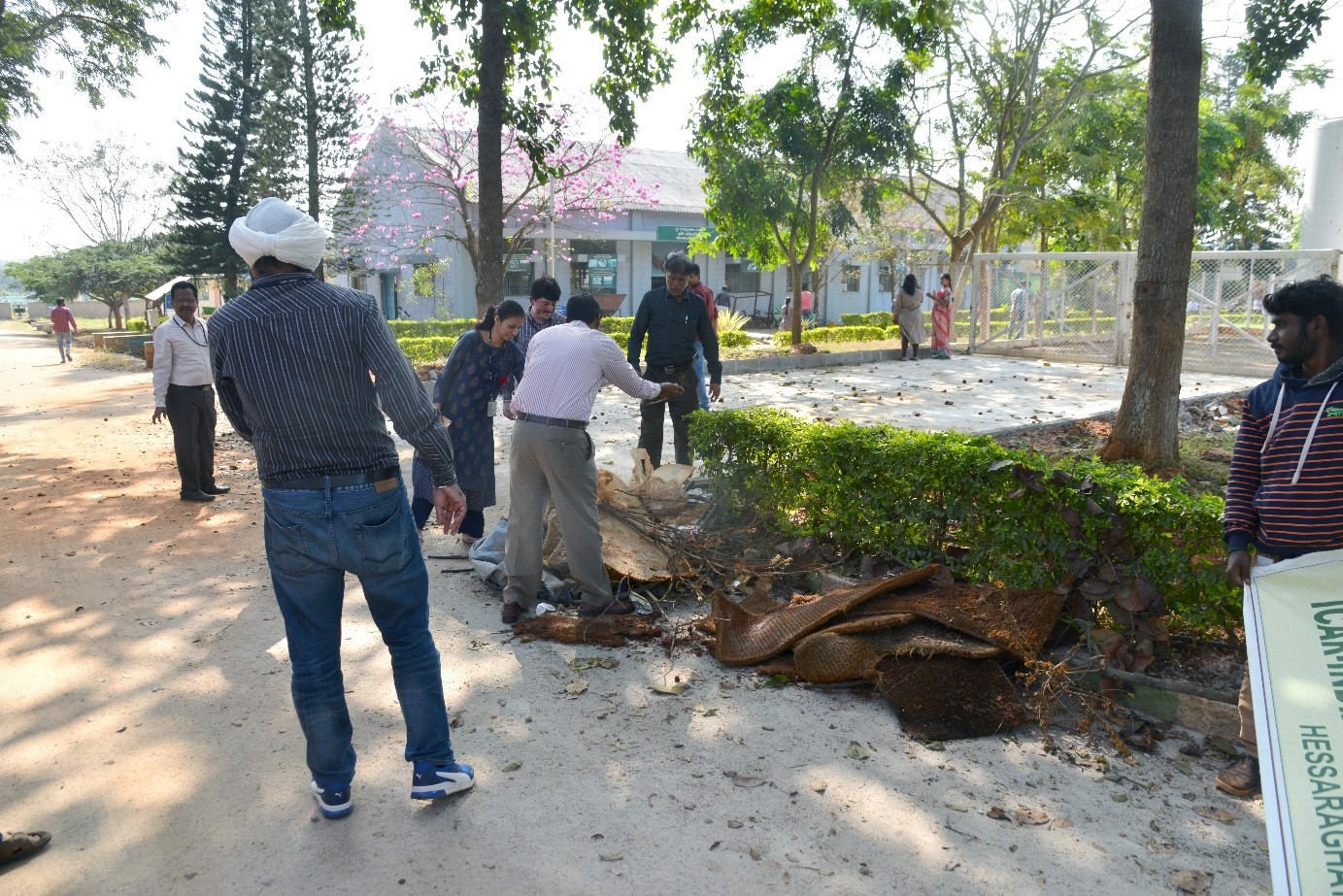 Swachhta Pakhwada activities held on 28.12.2019 at ICAR-IIHR, Bengaluru