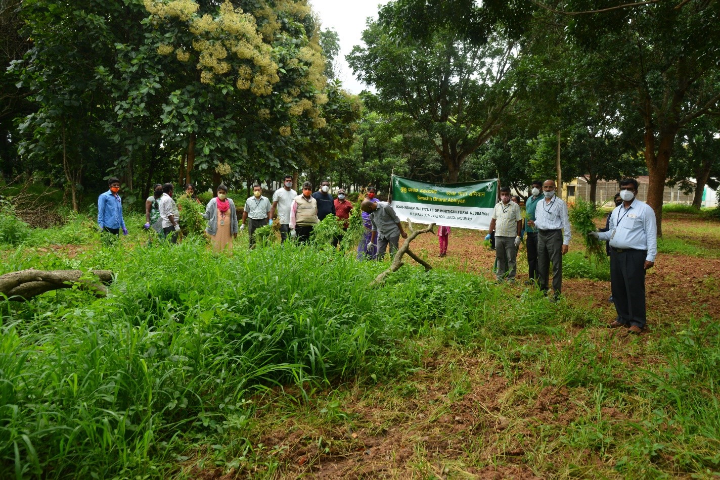 Observation of Fifteenth Parthenium awareness week at ICAR-IIHR, Bengaluru from 16-22, August,2020