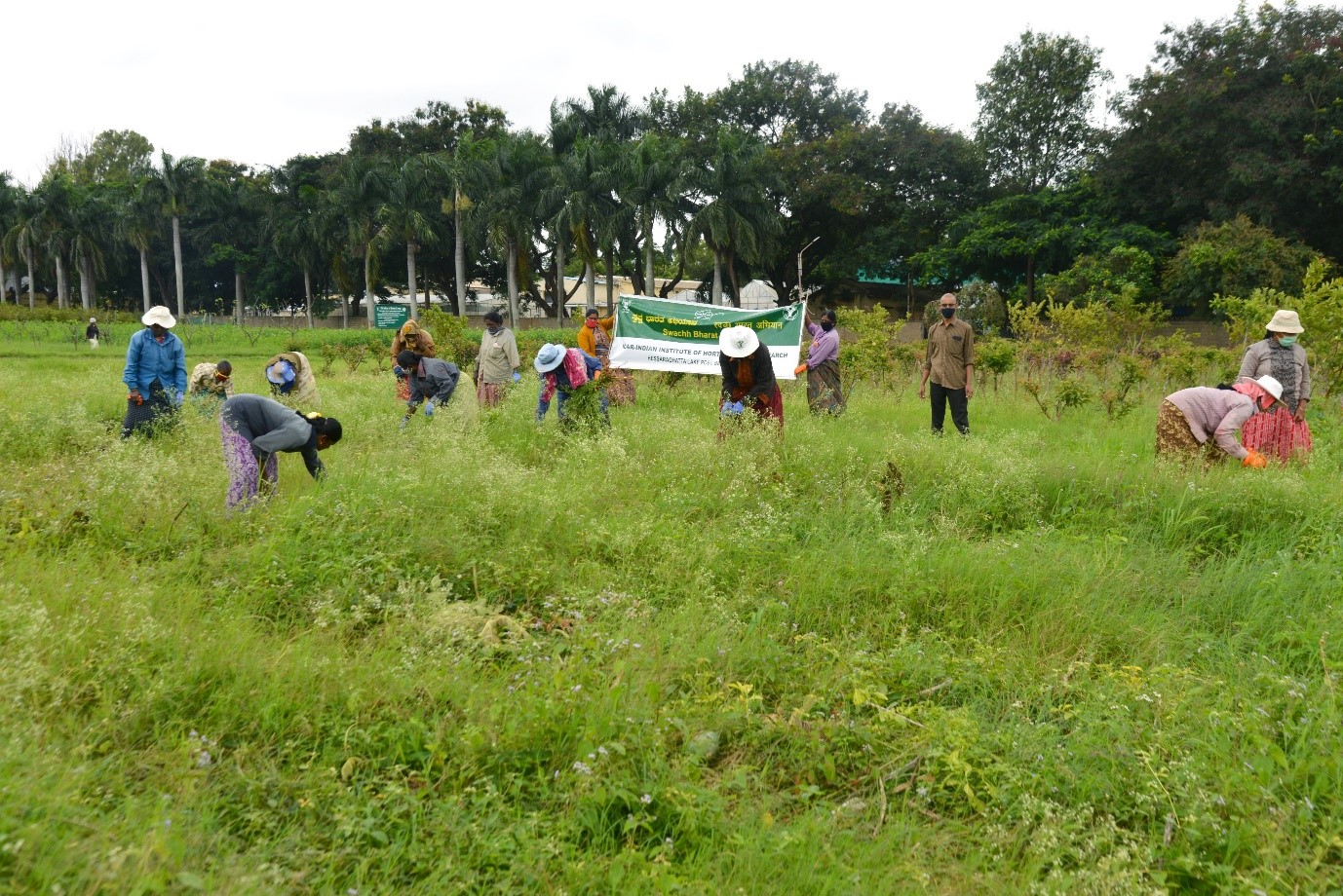 Observation of Fifteenth Parthenium awareness week at ICAR-IIHR, Bengaluru from 16-22, August,2020