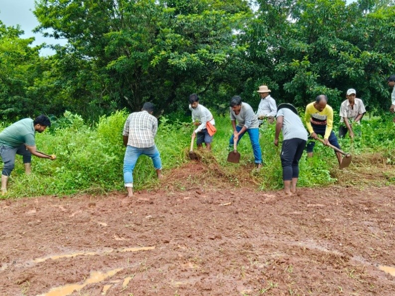 Central Horticultural Experiment Station organized Swachhata Hi Seva 2025 during 17th September to 2nd October