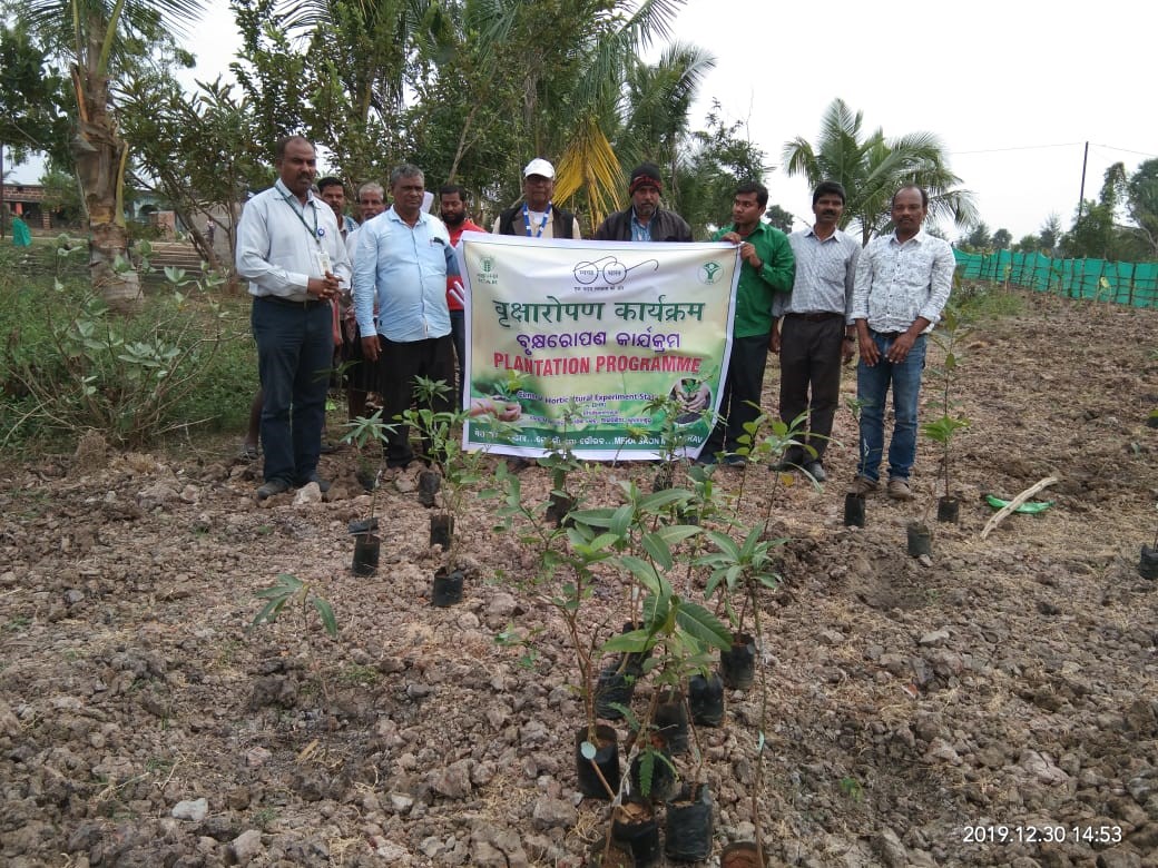 Central Horticultural Experiment Station (ICAR-IIHR) Aiginia, Bhubaneswar observed Swachhta Pakhwada from 16th-31st December 2019.