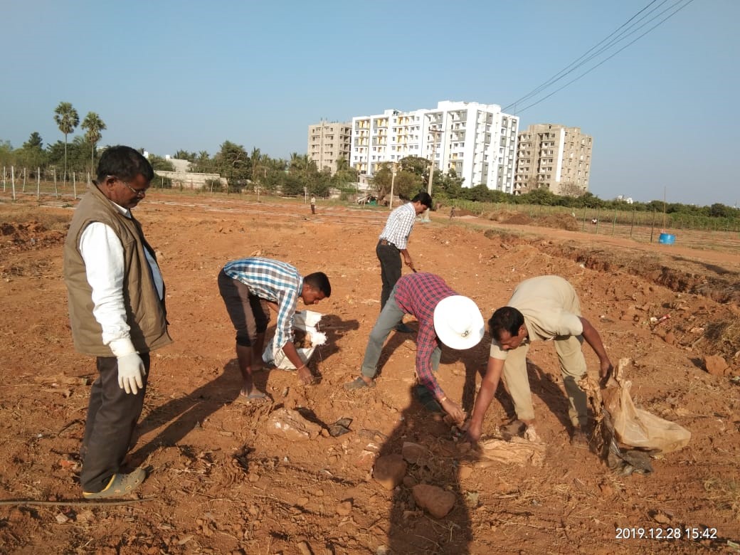Central Horticultural Experiment Station (ICAR-IIHR) Aiginia, Bhubaneswar observed Swachhta Pakhwada from 16th-31st December 2019.