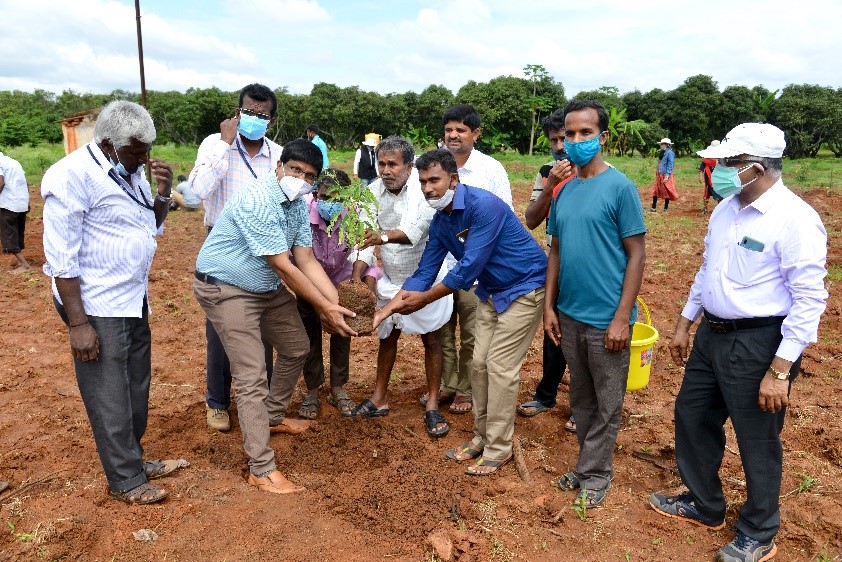 ICAR- IIHR organized a Tree Plantation Campaign on16th July 2021 at ICAR- IIHR, Bengaluru