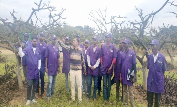 Off-campus training programme on Canopy Management in Fruit Crops conducted for Tribal farmers of Jawadhu Hills, Thiruvannamalai, Tamil Nadu 