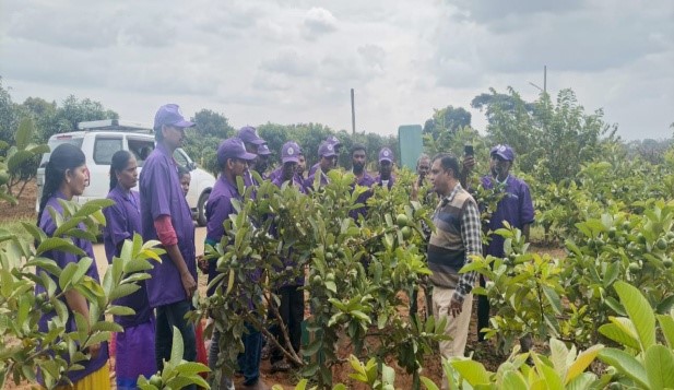 Off-campus training programme on Canopy Management in Fruit Crops conducted for Tribal farmers of Jawadhu Hills, Thiruvannamalai, Tamil Nadu 