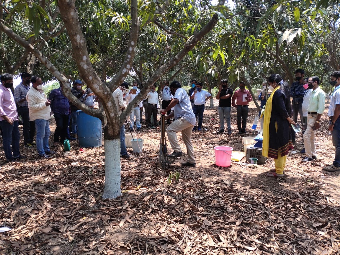 Training on Good Agricultural Practices in Fruit Crops organized by CHES (ICAR-IIHR),  Bhubaneswar 