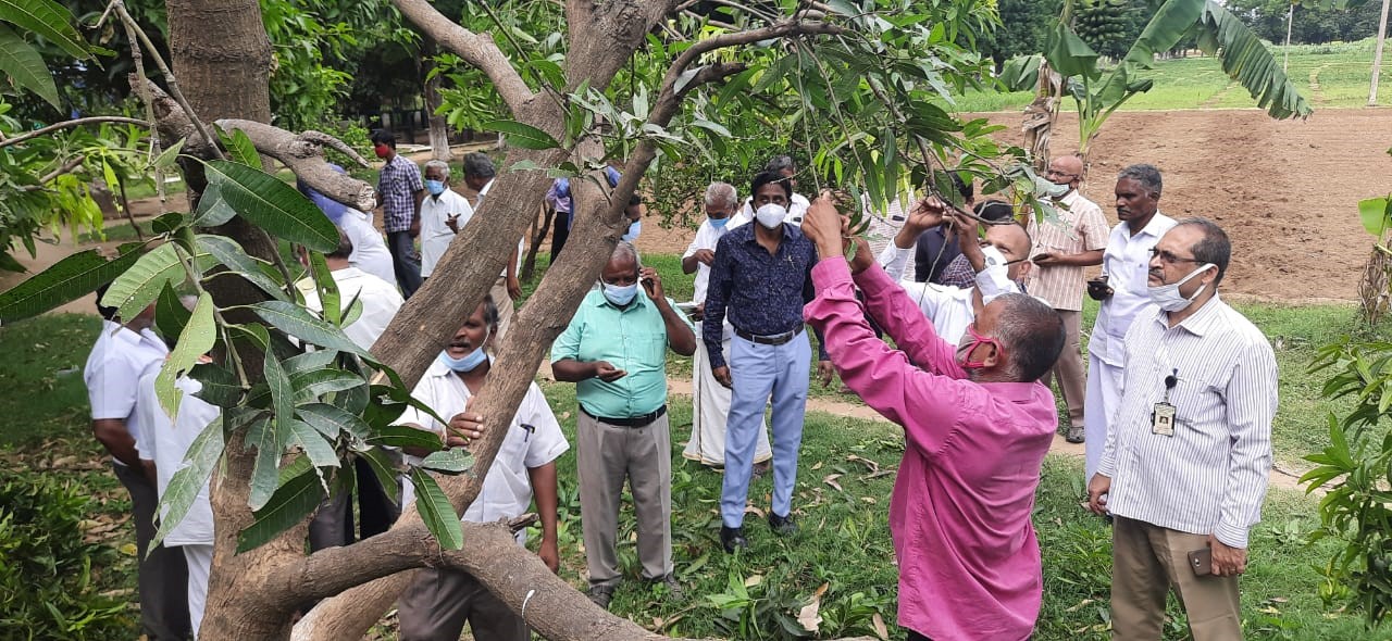 ICAR-IIHR Organized an Off-campus Training in Collaboration with  KVK, Viringipuram, Tamil Nadu