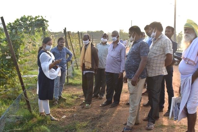 CHES(ICAR-IIHR), Bhubaneswar organized Training cum Awareness programme on  vegetable Seed production on commercial scale