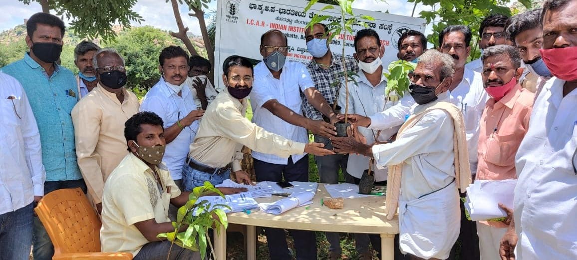 ICAR-IIHR, Bengaluru organized Fruit Saplings Distribution for Higher Production under TSP Project program in Pavagada in Tumkur district of  Karnataka