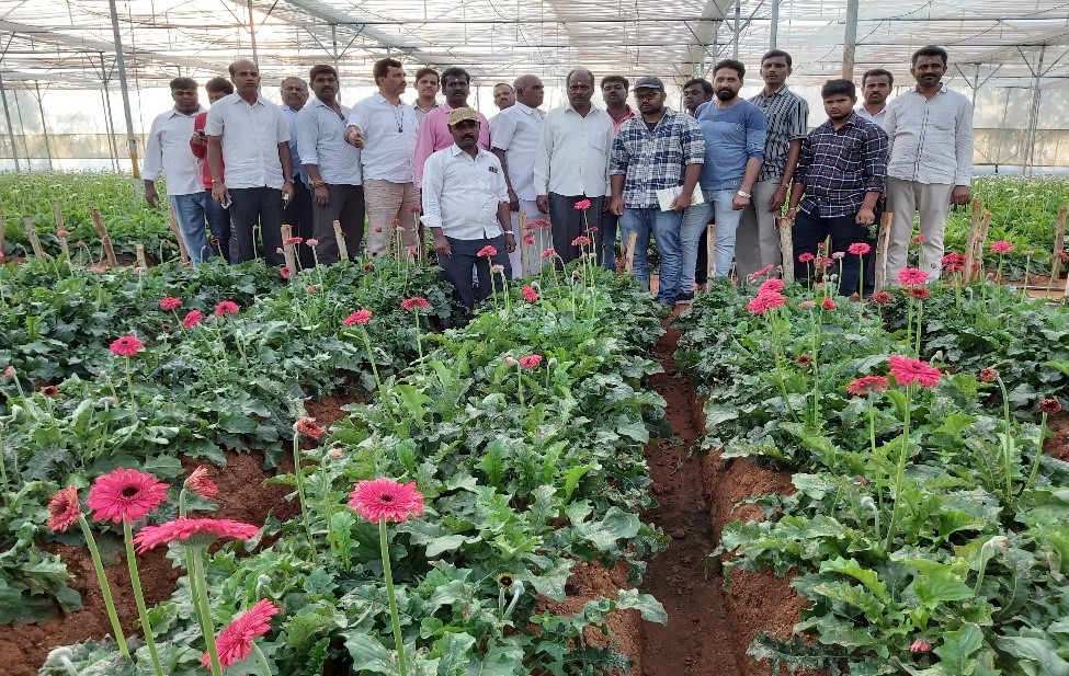 Special training programme on Protected cultivation of vegetables and flowers for the NHB beneficiaries was organized at ICAR-IIHR