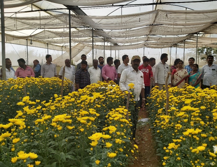 Special training programme on Protected cultivation of vegetables and flowers for the NHB beneficiaries was organized at ICAR-IIHR